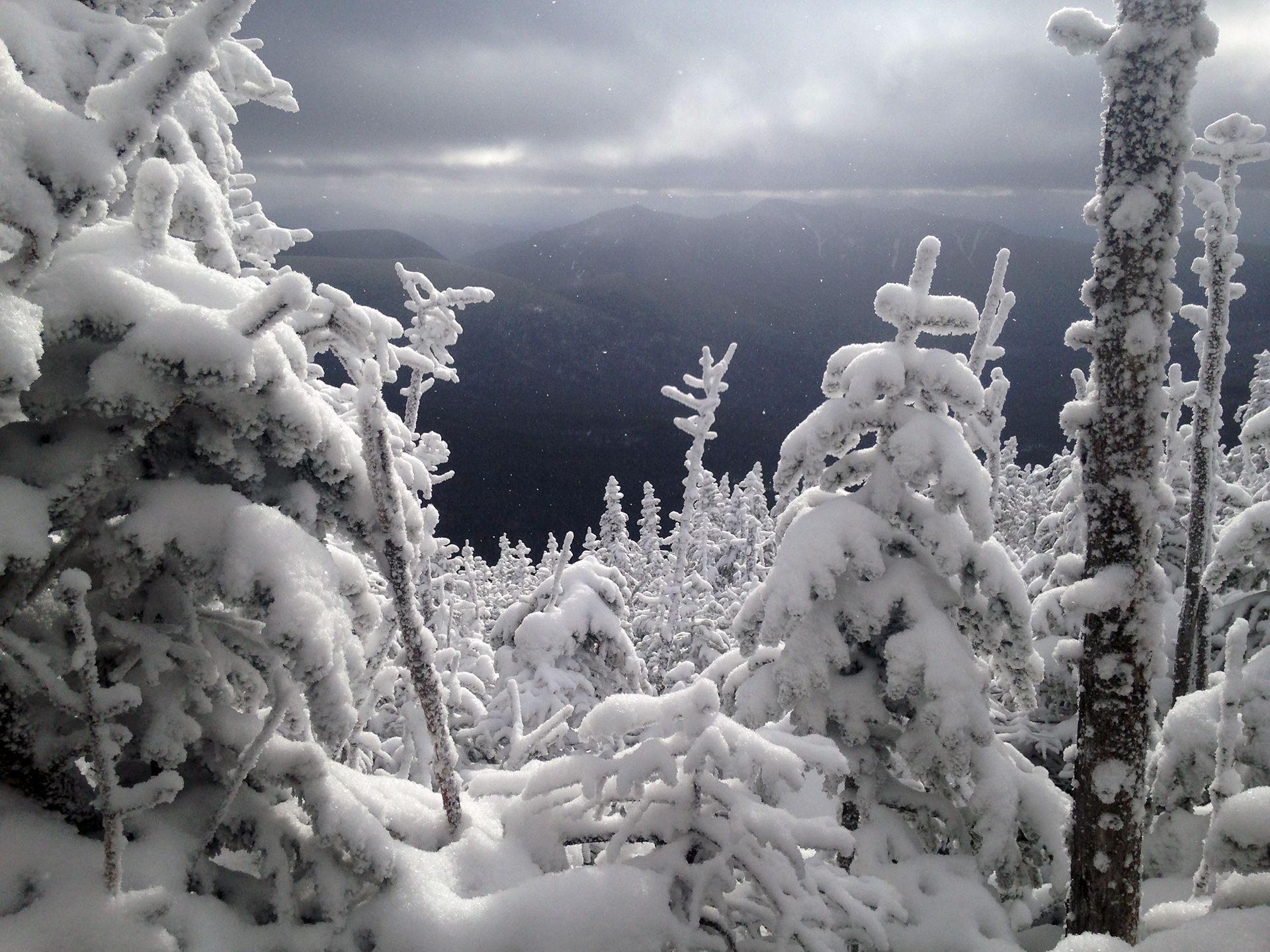 Hiking photo from 2017-01-28